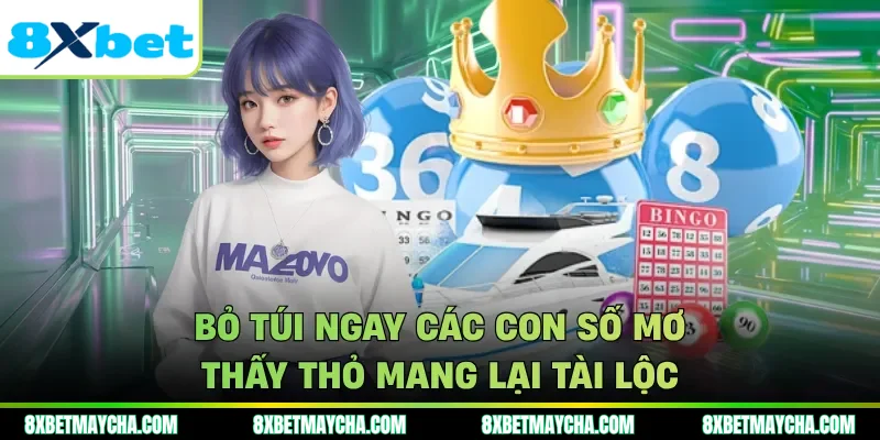 Bỏ túi ngay các con số mơ thấy thỏ mang lại tài lộc