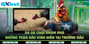 Đá Gà Chọi Khám Phá Những Trận Đấu Kinh Điển Tại Trường Đấu