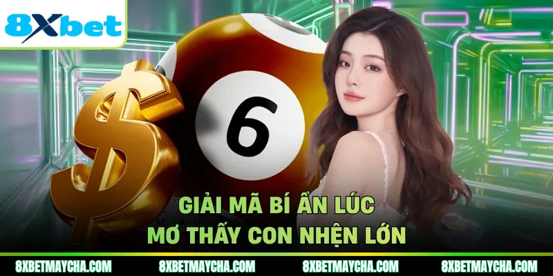 Giải mã bí ẩn lúc mơ thấy con nhện lớn