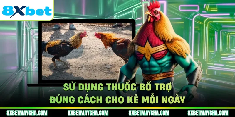 Sử dụng thuốc bổ trợ đúng cách cho kê mỗi ngày