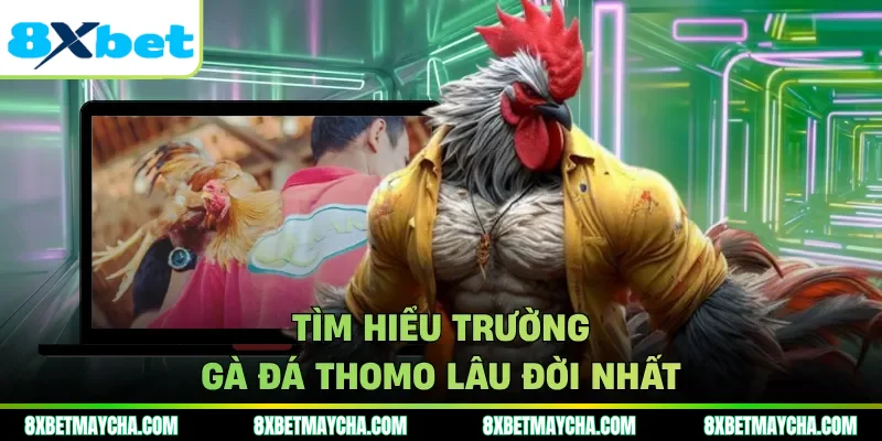 Tìm hiểu trường gà đá thomo lâu đời nhất