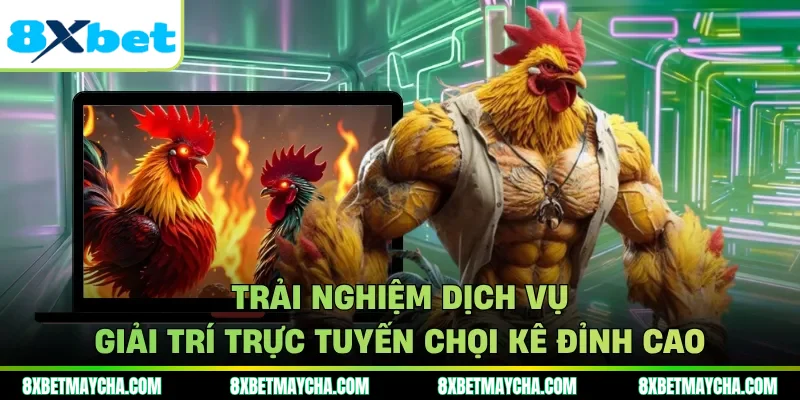 Trải nghiệm dịch vụ giải trí trực tuyến chọi kê đỉnh cao